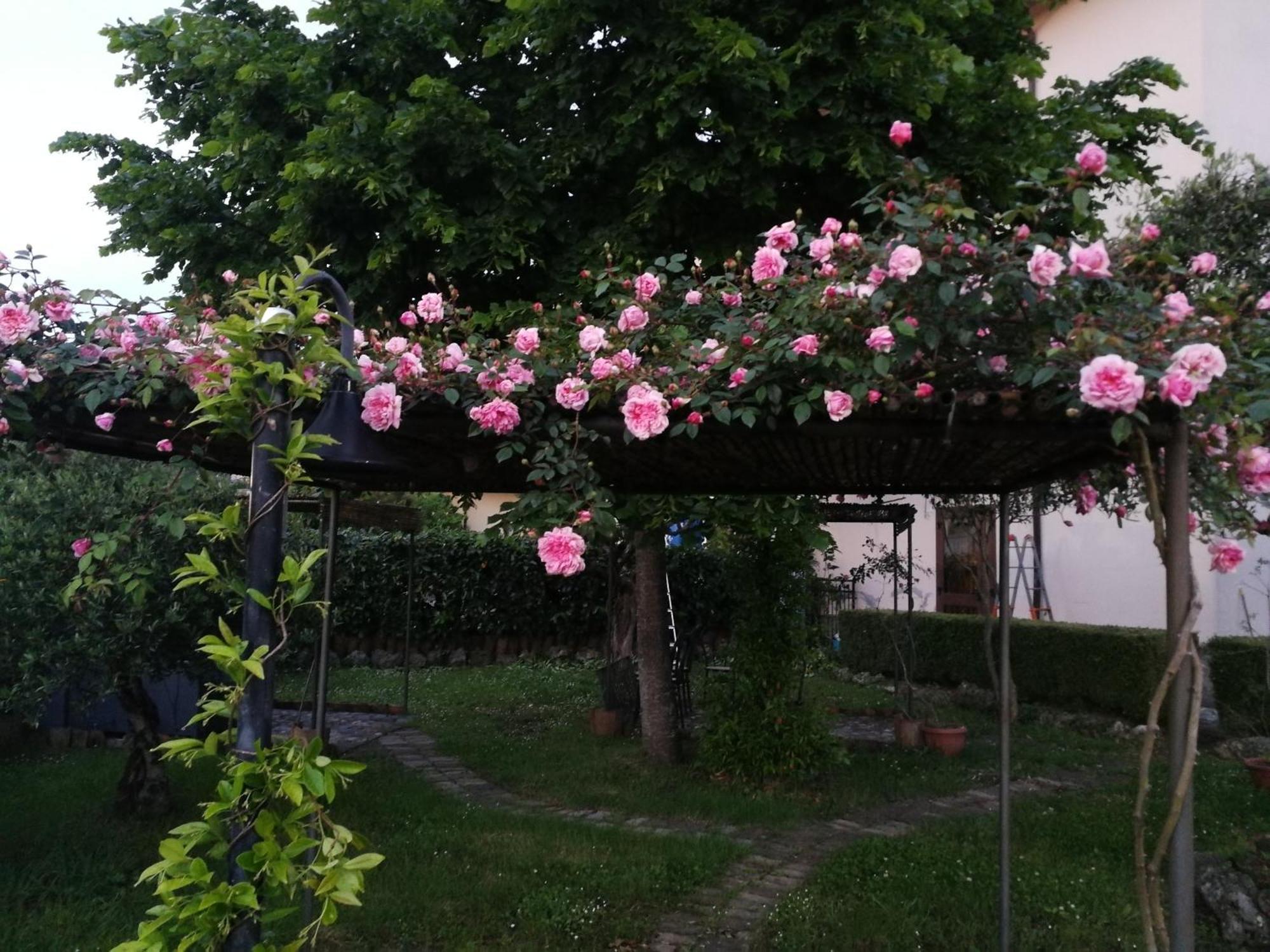 Happy Family B&B Viggianello Zewnętrze zdjęcie